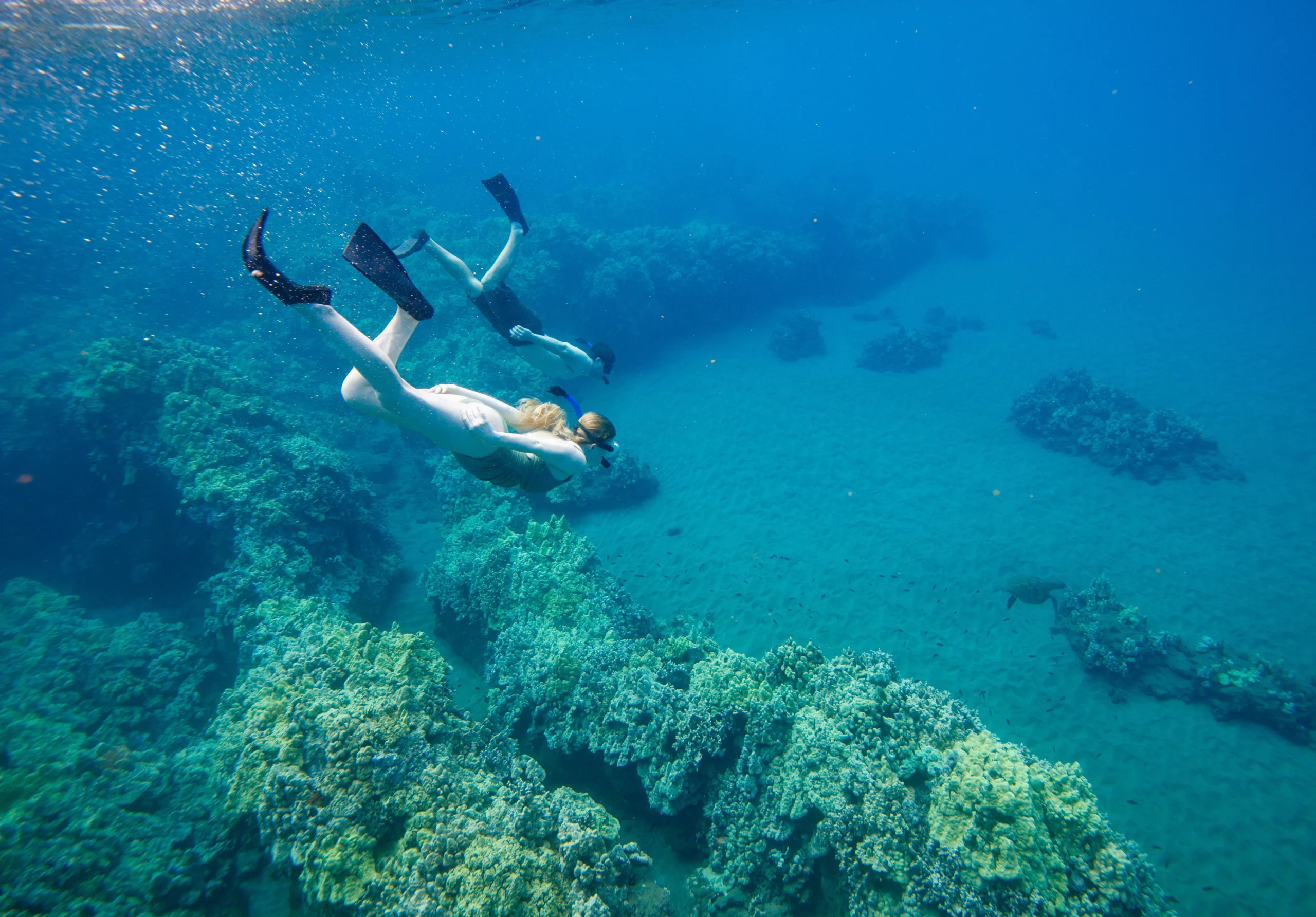 maui_snorkel_site (1)